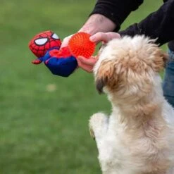 Disney - Pelota Y Peluche Para Perros Tipo Spiderman 16 Disney - Pelota Y Peluche Para Perros Tipo Spiderman -Famosa || LOL Surprise Ventas medias 809